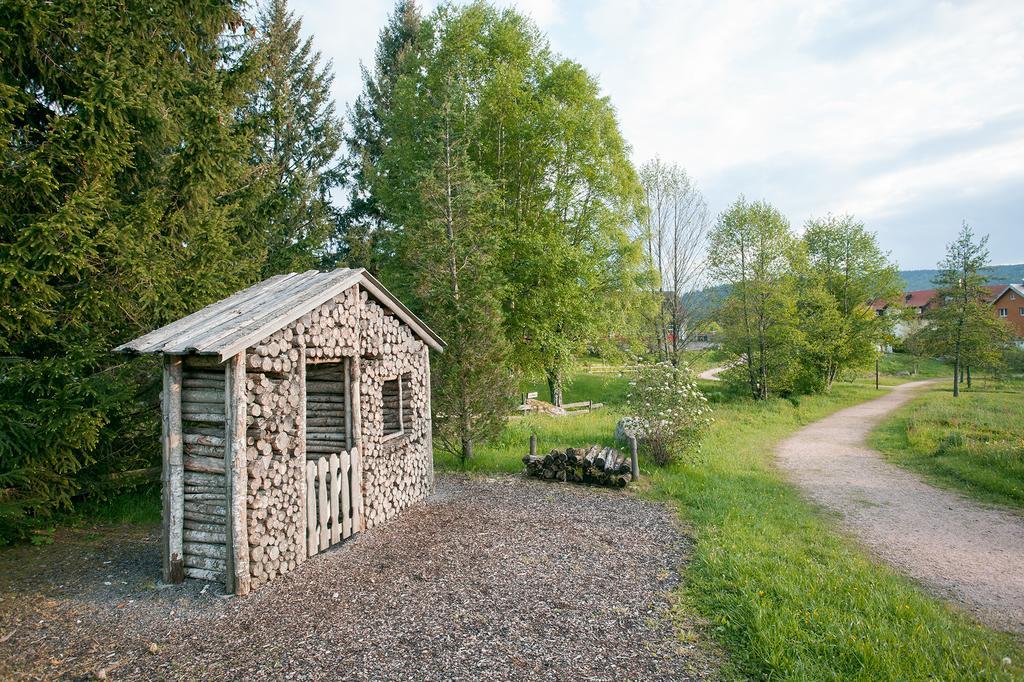 Pension Tannenheim Hotell Schluchsee Eksteriør bilde